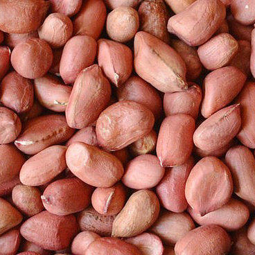 全场4斤包邮东北黑龙江农产品土特产农家自制干货花生