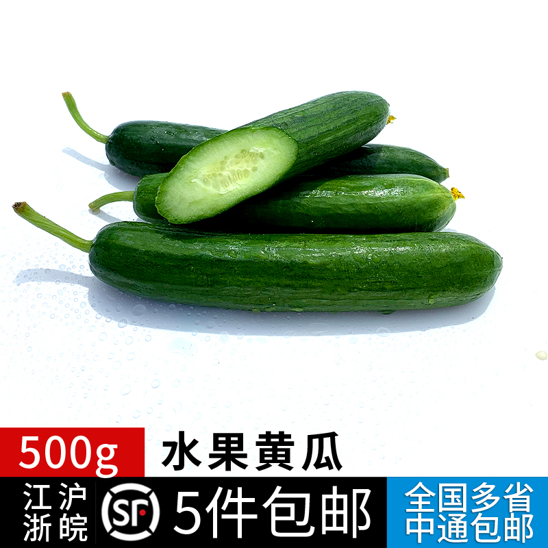 水果黄瓜500g 荷兰黄瓜 短小黄瓜 新鲜蔬菜轻食沙拉食材满5件包邮