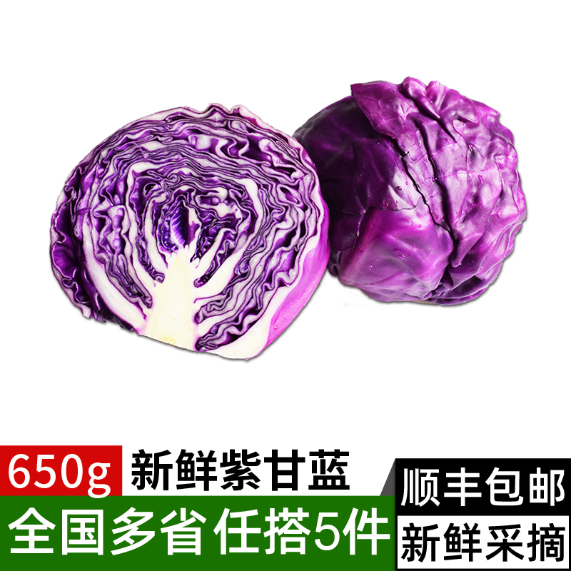 紫甘蓝650g 紫包菜球紫色红椰菜生菜 新鲜蔬菜西餐凉拌沙拉食材