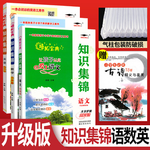 培优宝典小学知识集锦【全国通用】全套3本 小学知识集锦语文数学英语 四五六年级小学语文重点知识集锦 小升初基础知识大全