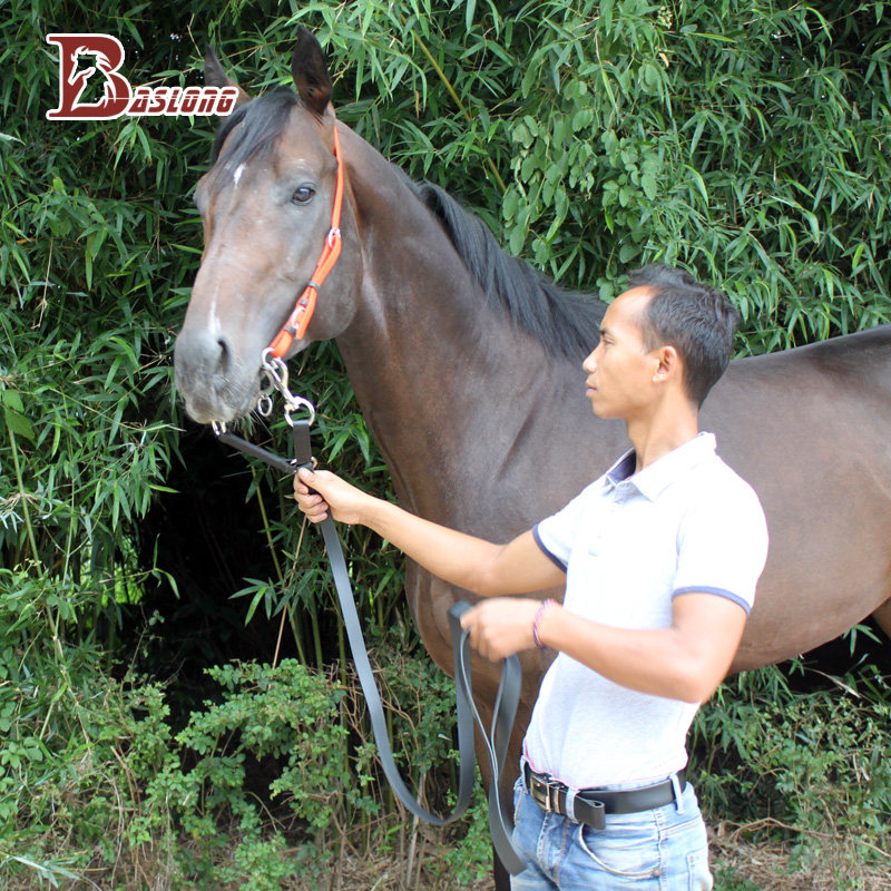 八尺龙马术马具牵马绳拉马绳速度赛马公马烈马用