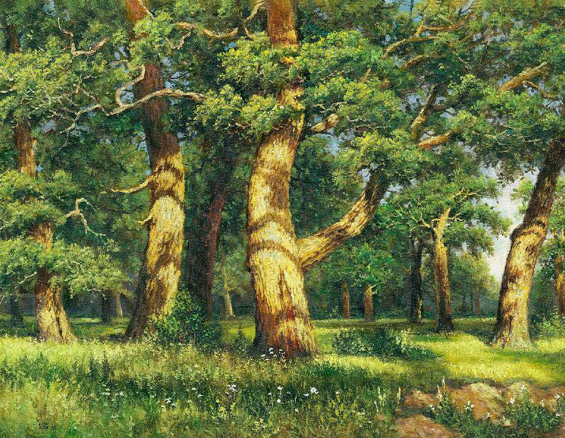 临摹 希普金《橡树》布面油画 墨嘉文化