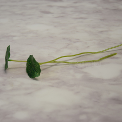 特价 仿真塑料绢布水性 绿植铜钱草 小荷叶 花器花瓶伴侣