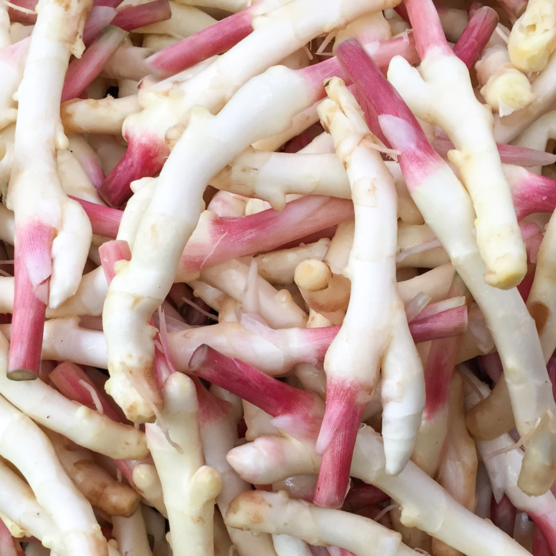 特价小黄姜_嫩仔姜新鲜子姜芽四川指头姜生姜5斤非云南小黄姜泡老醋鲜