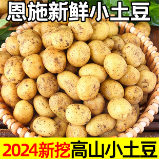 恩施小土豆新鲜马铃薯5斤正宗黄心薄皮土豆洋芋现挖蔬菜10马铃薯