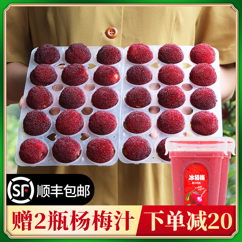 仙居杨梅新鲜东魁杨梅鲜果现摘现发水果当季特级大杨梅顺丰包邮|ruв категории водной мясо/свежие фрукты и овощи/еда, свежие фрукты, 杨梅 - от Buy2taobao.com для оказания профессиональной услуги покупки агента Taobao