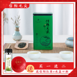 蓝天茗茶2019年绿茶信阳毛尖雨前嫩芽散装浓香型茶叶250g