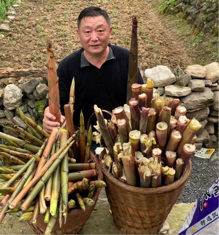 竹荪笋山竹荪甜竹荪