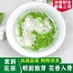 茉莉花茶叶2025新茶特级飘雪白豪银针贵州高山绿茶浓香型散装250g