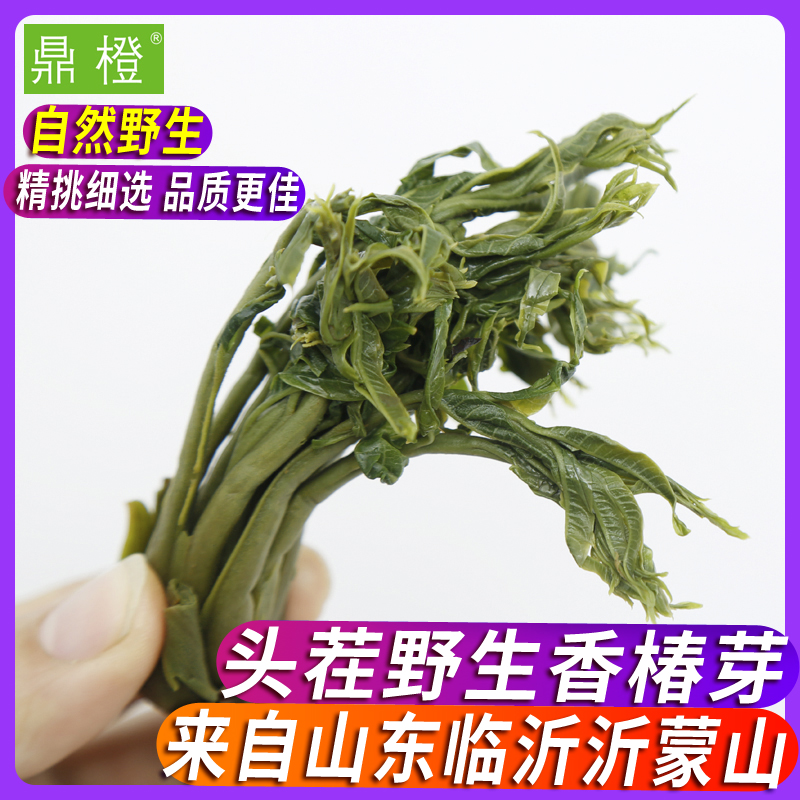 鼎橙 山东特产沂蒙山新鲜香椿芽腌制咸菜酱菜 头茬嫩香椿500g