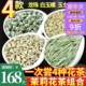 2024茉莉花茶白螺王玉女环银针龙珠浓香花茶组合新茶500g