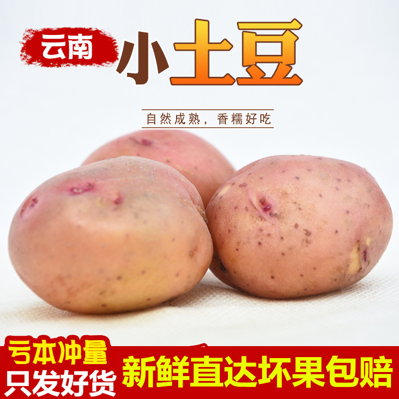 云南红皮果小土豆中果3/5/9斤新鲜农家自种蔬菜红皮黄心土豆