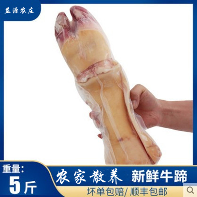 热销新鲜牛筋牛蹄筋