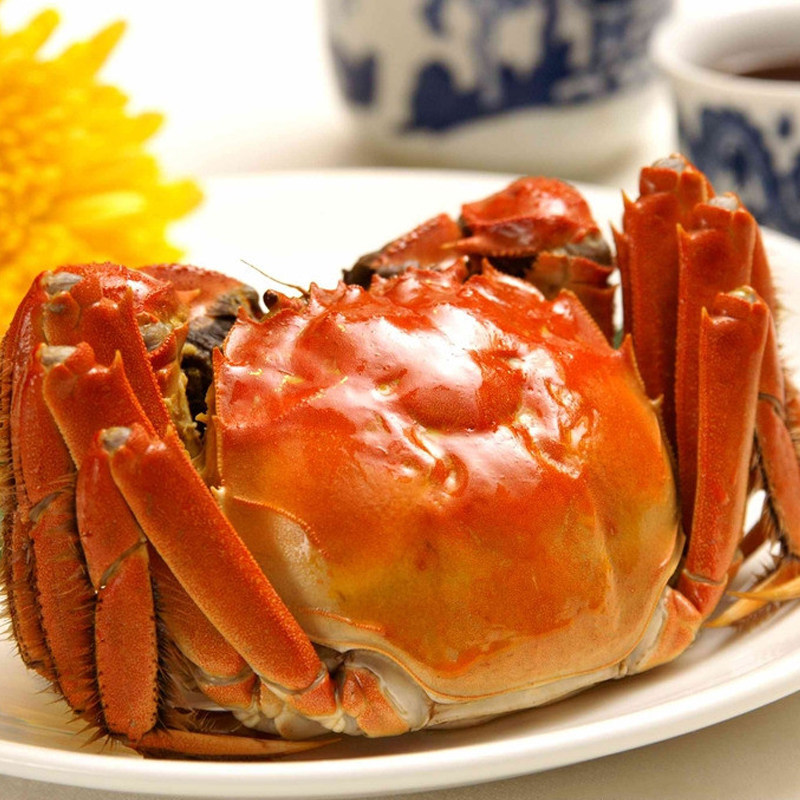 螃蟹鲜活大闸蟹新鲜顺丰包邮