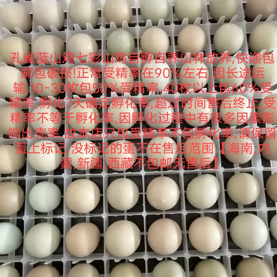 贵妃鸡_贵妇鸡百科图片_饲养繁殖_雌雄鉴别_sbike