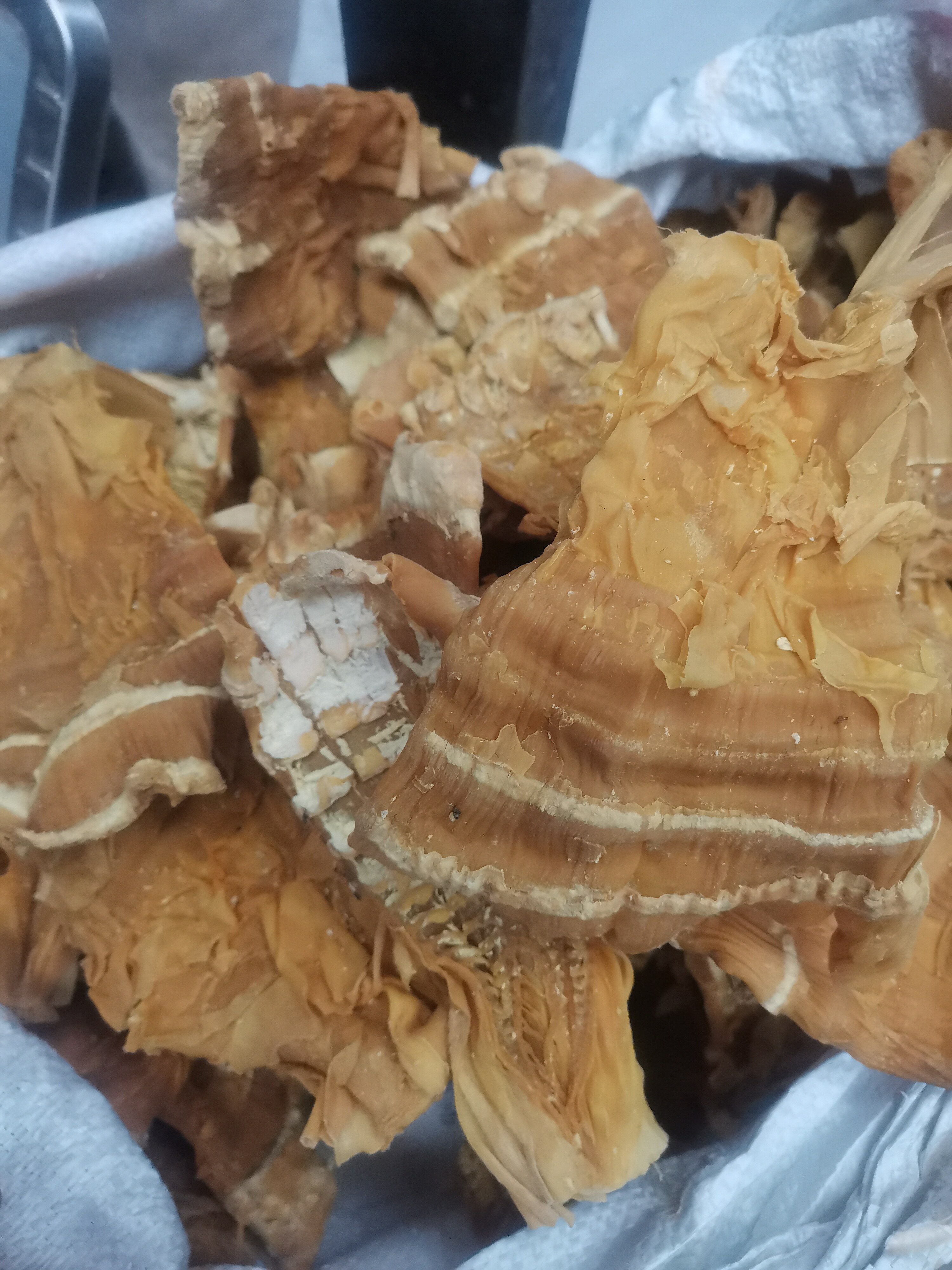 包邮甜笋黄笋香笋500克云南特产德宏特产腾冲特产干黄笋