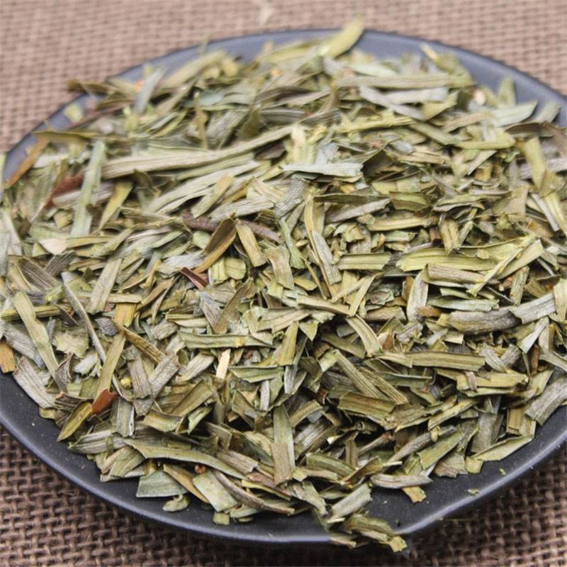 广西金秀大红豆杉叶子中草药南方紫杉醇中药材泡茶500g