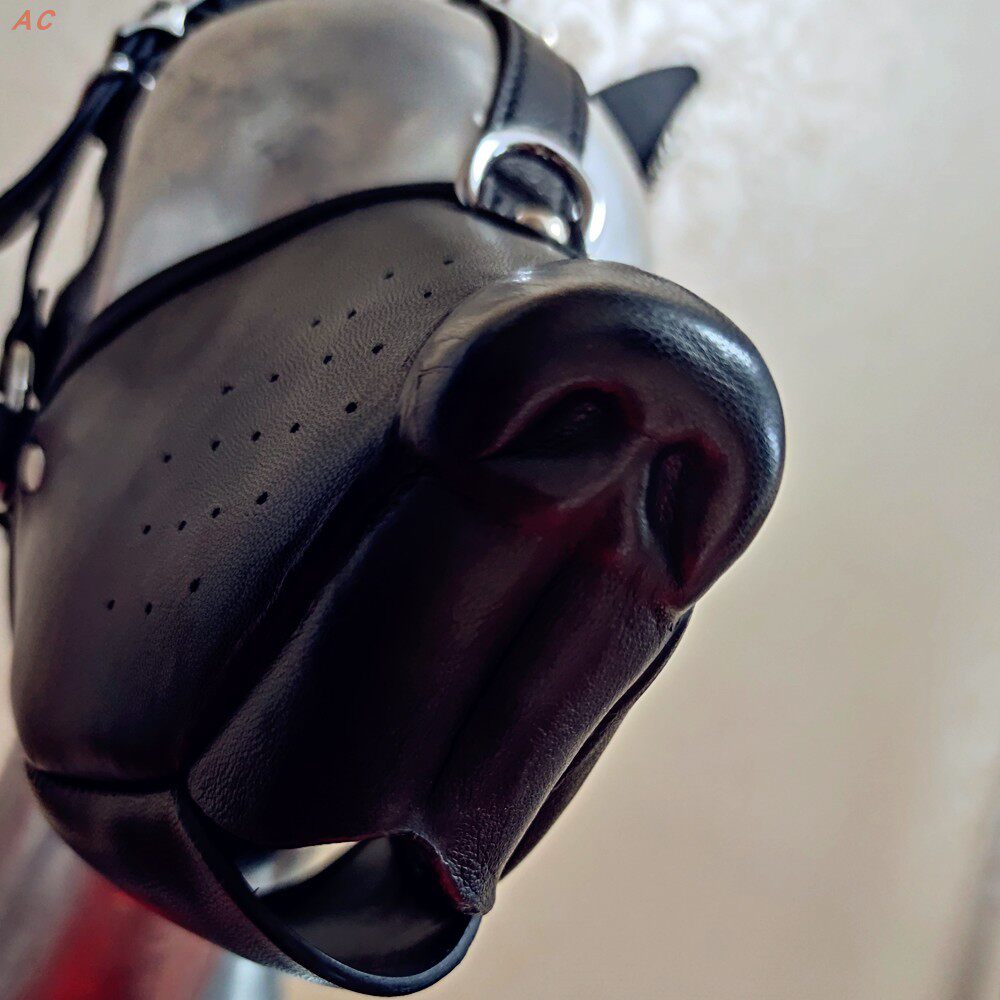 sm头套_收藏版的头层牛皮狗狗嘴套角色扮演sm店主强烈推荐 !