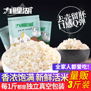 九鲤湖胚芽米东北大米留芽米新米粳米500g*3袋