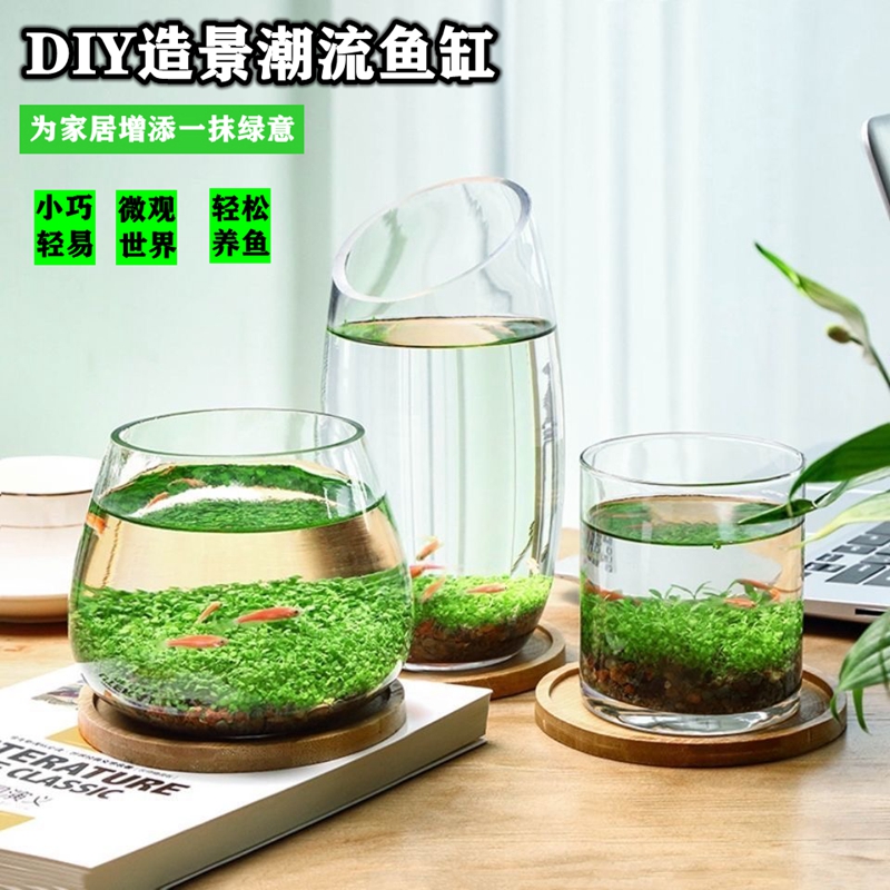 水草种子生态鱼缸微景观创意鱼缸玻璃瓶水培植物盆栽种籽DIY造景