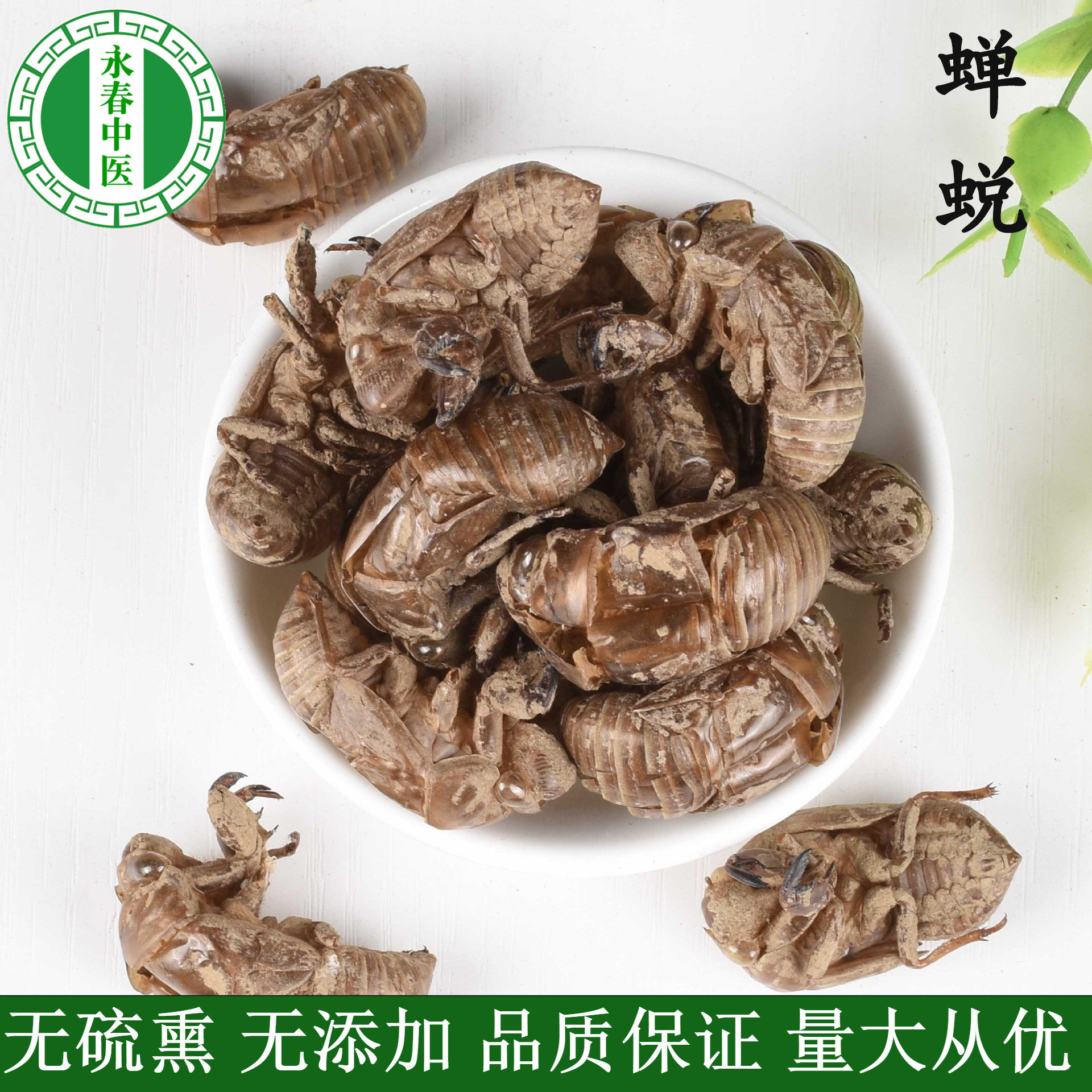 蝉蜕500克 无灌浆 正品统装 中药材店铺代抓中药 承接药房 医院