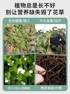 植物缓释肥营养棒养花通用型花肥家用盆栽复合肥料发财树花卉绿植