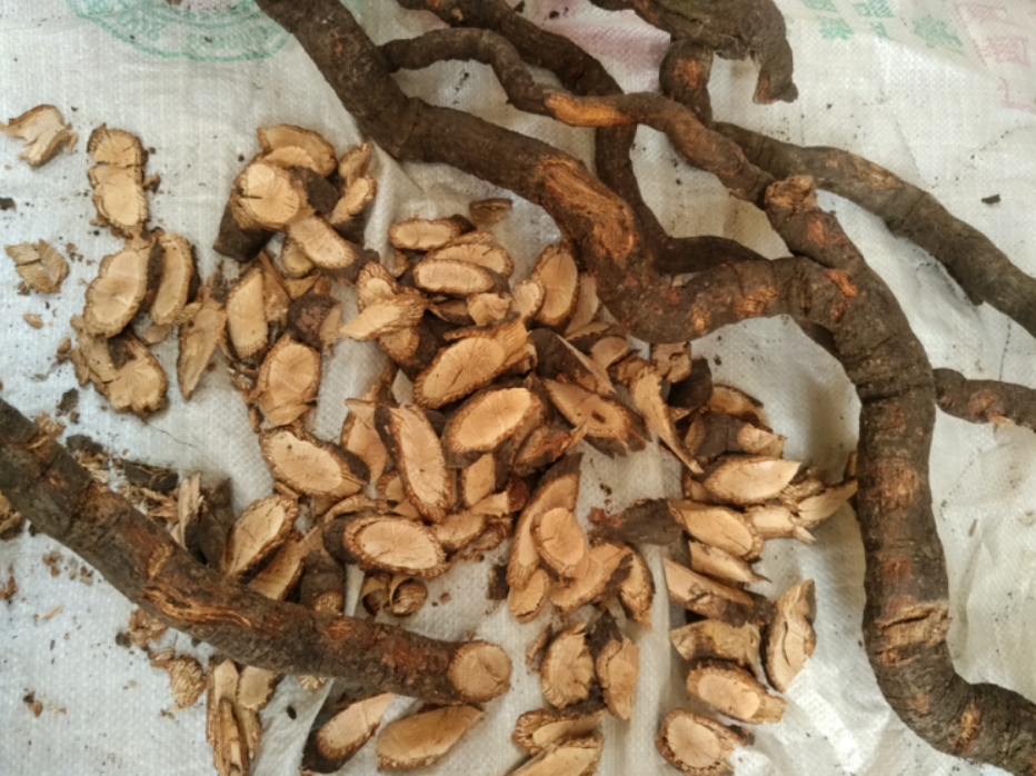 野生中药材红走马胎 走马风 山鼠 血枫 九丝马 马路 切片干品