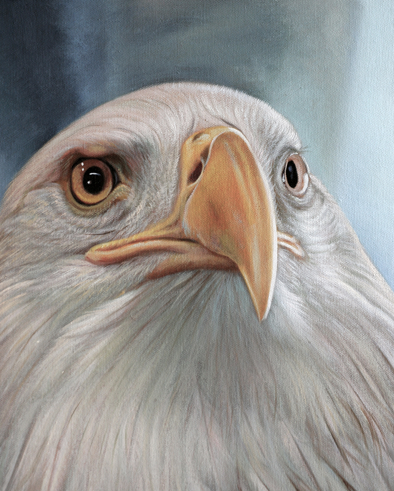 狗年大吉瑞犬迎春精品油画专场  拍品详情 进入该拍品专场   起拍价