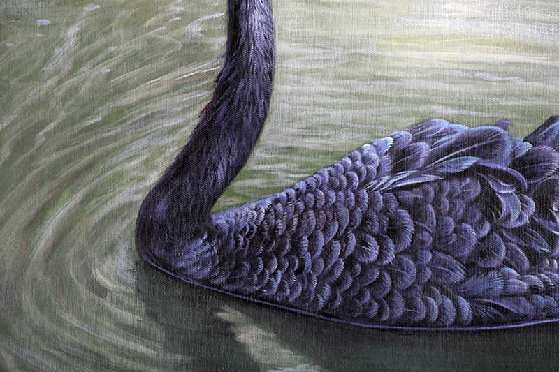 【学院艺术】广州美院 陈建忠《黑天鹅》写实精品