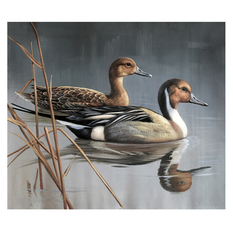 林小婷《鸳鸯》写实派画家