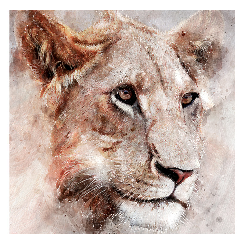 【双十二】【版画】【学院艺术】深圳大学 黄晓洪《狮子》精品1