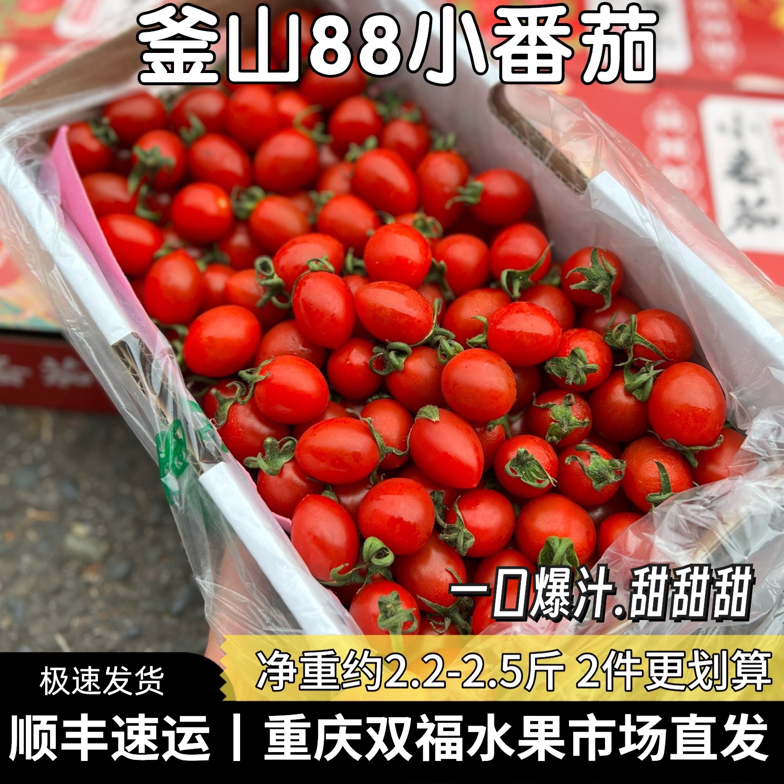 釜山88小番茄礼盒装2.2-2.5