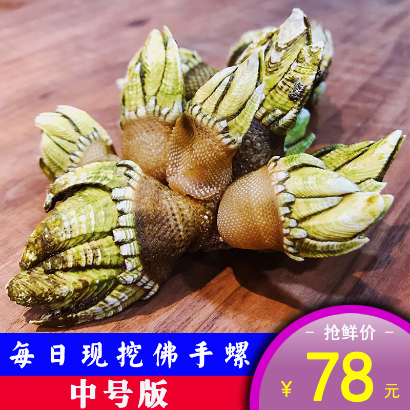 佛手螺-特价促销-优惠券领取-价格|多少钱|什么牌子好-35优惠券网站