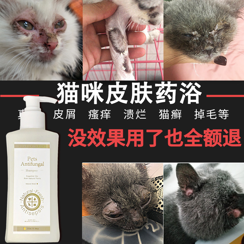 杀螨除菌_猫藓药浴猫咪脱毛皮屑猫癣药浴幼猫奶癣皮肤病外用杀螨除菌