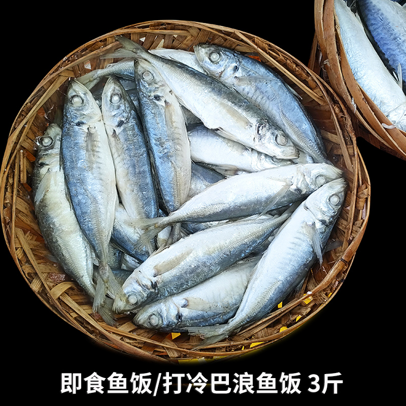 巴浪鱼饭包邮新鲜熟鱼饭即食海鲜福建打冷巴郎熟鱼饭潮汕鱼饭巴浪