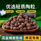 陶粒垫底花卉种植陶粒土金钱树发财树多肉铺面石无土栽培水培陶粒