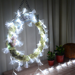 led光纤花 圣诞树装饰用品装饰灯彩灯闪灯串灯光纤灯满天星灯地摊