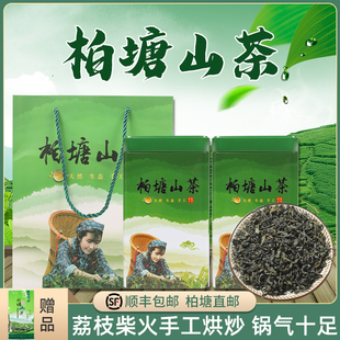 2024柏塘山茶明前春分茶广东十大名茶特级绿茶惠州博罗罗浮山茶叶