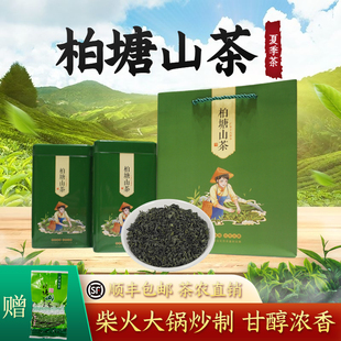 柏塘山茶夏季茶广东十大名茶惠州特产博罗特级送礼绿茶罗浮山茶叶