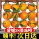 四川爱媛38号果冻橙10斤橙子新鲜水果当季整箱柑橘桔手剥甜橙包邮