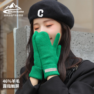 新款冬季羊毛针织手套女士户外防寒保暖触屏手套可折叠腕口DZ138
