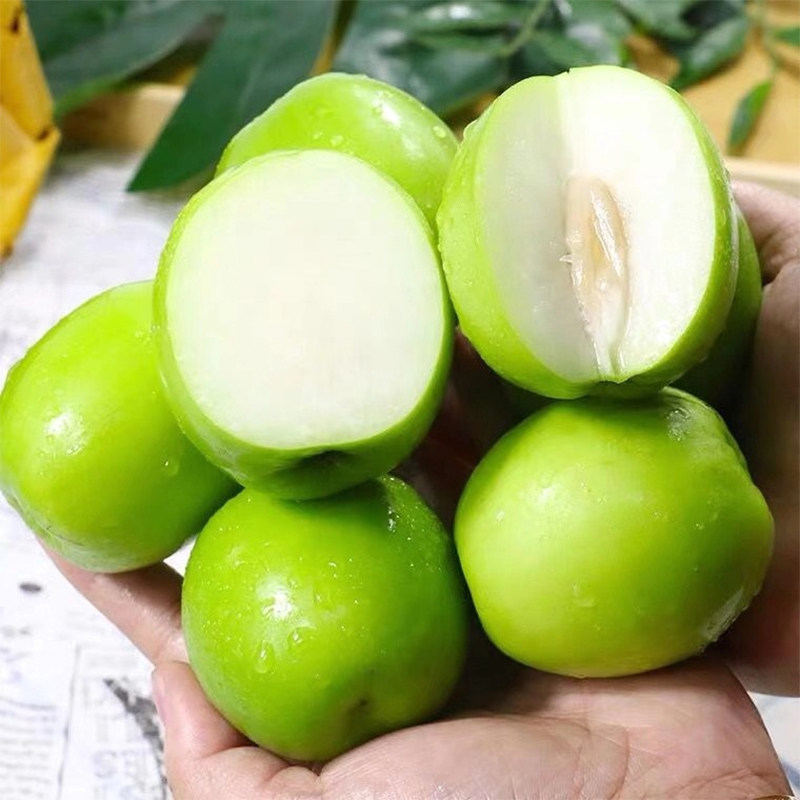 现摘新鲜云南保山潞江坝牛奶青枣特大奶油5斤枣子腾冲青脆甜冬枣