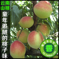 云南夏黑葡萄新鲜水果 孕妇水果最爱提子 巨峰