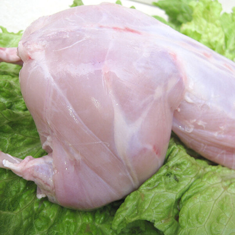 生冻兔子肉鲜兔肉新鲜冷冻整只白条兔约3斤