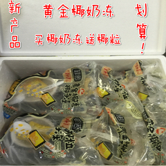 菲诺牌泰国黄金椰奶冻黑椰奶冻布丁椰子冻 6只原箱全国包邮