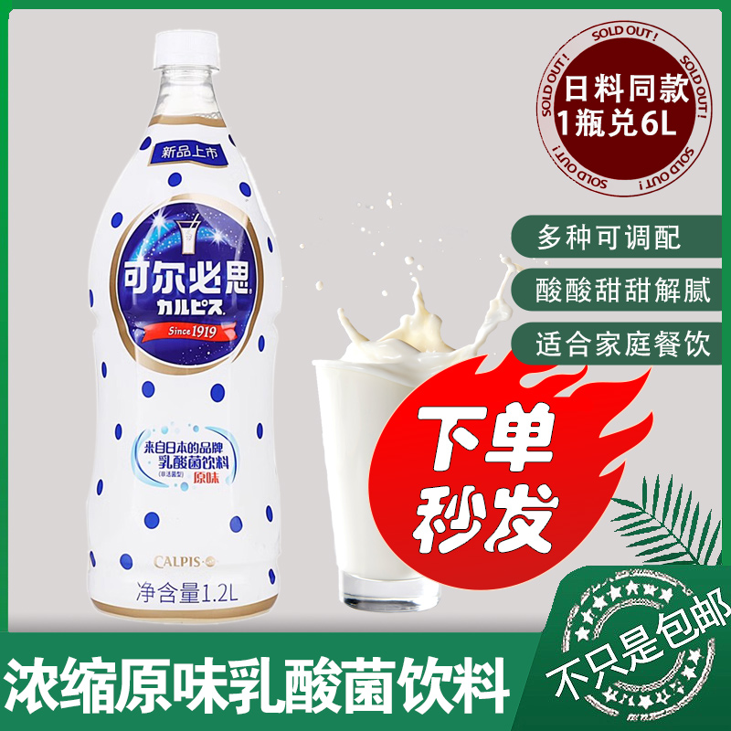 CALPIS可尔必思乳酸菌饮料原味调苏打5倍浓缩型1.2L料理店浓缩汁