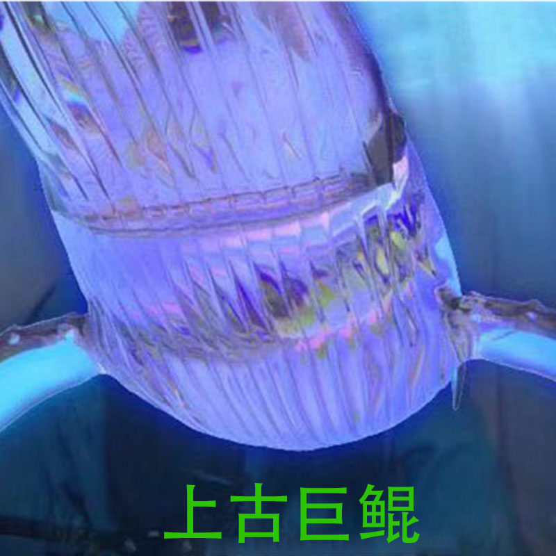 酷狗繁星直播礼物古巨月光之城浪漫气球初次其他游戏软件平台