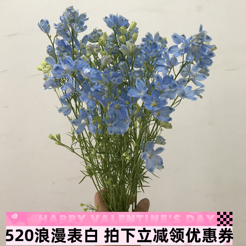 小飞燕鲜花水培家用插花办公室瓶插花婚礼手捧花配花北京同城速递