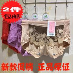 婵之云正品新款胖MM透气大版女士内裤莫代尔棉质面料中高腰