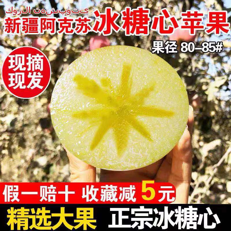 净重8斤新店促销阿克苏红旗坡农场冰糖心苹果顺丰包邮在类目 水产肉类/新鲜蔬果/熟食, 新鲜水果, 苹果中 - 来自Buy2taobao.com提供专业的淘宝代购服务